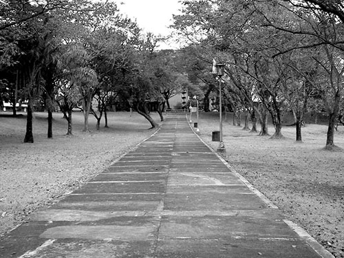 Lagoon walkway.