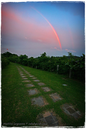 A rainbow, at sunset.