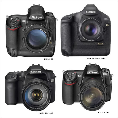 New digital SLRs for Q4 2007.