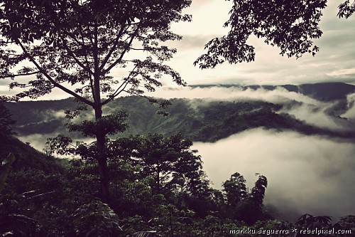 View on the way to the Angat watershed.