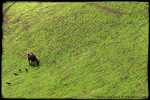 Batanes [5]